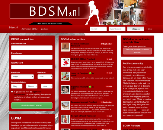 BDSM Logo